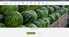 Desktop Screenshot of evergreens.co.za